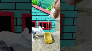 DIY Diorama Mini Farm  House And Cow diy diorama farm farmer farming [upl. by Aletse]