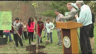 Springfield celebrated Arbor Day with planting of ‘Ruby Red’ tree [upl. by Shawna]