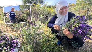 İLTİHAPLANMAYA ENGEL OLAN BAĞIŞIKLIK GÜÇLENDİREN DOĞANIN ŞİFALI BİTKİSİ MUCİZE KARABAŞ OTU TOPLADIK [upl. by Netsuj]