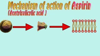 Aspirin  mechanism of action acetylsalicylic acid action mechanism [upl. by Geilich678]