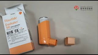 How to use Seretide Diskus inhaler [upl. by Robet]