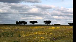 ALENTEJO FLORIDO [upl. by Albertina3]