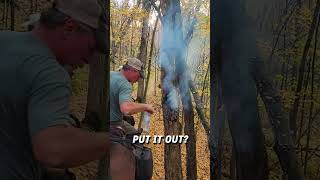 Tree found smoking in the middle of the woods 🔥 🌲 🎥 Teresa Tangen Dalzell via ViralHog [upl. by Illene]