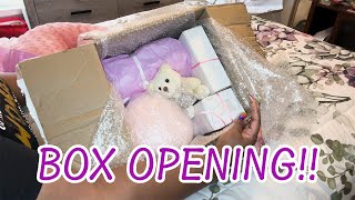 📦Reborn Baby Box Opening huge haul🎀 [upl. by Erich520]