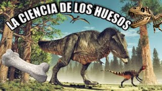 😍 PALEONTOLOGÍA 💗 ¿Qué es y qué estudia 🦕🦖🐊¿Cómo trabaja un paleontólogo [upl. by Schaffel]