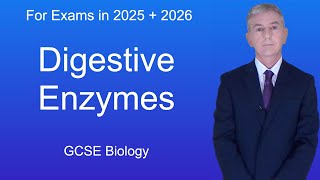 GCSE Biology Revision quotDigestive Enzymesquot [upl. by Ainivad46]