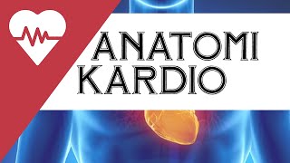 ANATOMI KARDIOLOGY [upl. by Mill]