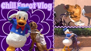 Chill Epcot Day service dog disney vlog [upl. by Nolyk]