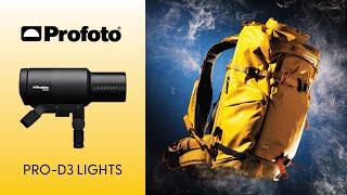 HandsOn Review Profoto Pro D3 Lighting Kit Unveiled [upl. by Suiramed155]