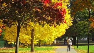 Höstpromenad genom Konradsbergsparken Stockholm oktober 2018 [upl. by Redle984]