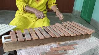 Song  Boro loker beti lo  Homemade musical instruments [upl. by Kella]