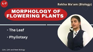 Lec7 Morphology of Flowering plants The Leaf Types amp Phyllotaxy [upl. by Hodges]