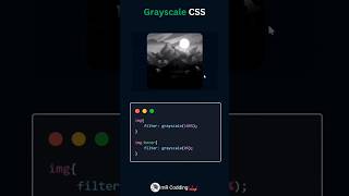 Grayscale image in css codechallenge coding frontend webdesign mrcodding shorts [upl. by Leatrice]