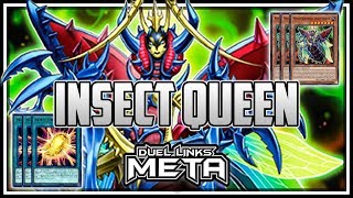 Metamorphosed Insect Queen YuGiOh Duel Links [upl. by Zysk245]