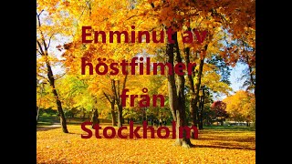 En minut av höstfilmer från Stockholm [upl. by Eednyl917]