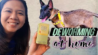 HOW TO USE PYRANTEL EMBONATE NEMATOCIDE TO DEWORM A DOG AT HOME  EASY DIY DOG DEWORMING PURGA [upl. by Ynnel581]