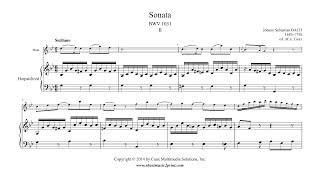 Bach  Siciliano from Sonata BWV 1031  Flute [upl. by Walden]