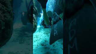 Scuba divers navigate through tight sun lit canyons in the Belize Barrier Reef [upl. by Kcaj]