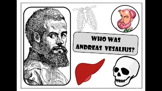 Medicine through time c1250present Who was Andreas Vesalius [upl. by Hanover410]