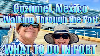 Cozumel Mexico  Puerta Maya amp International Cruise Terminals  What to Do on Your Day in Port [upl. by Yelwah]