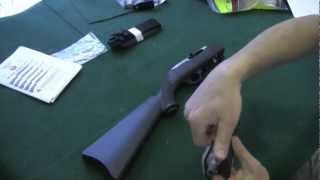 Ruger 1022 Takedown Review [upl. by Estrella]