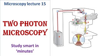 Two Photon microscope  working principle  Advantages disadvantages  Microscopy lecture 15 [upl. by Kinsman]