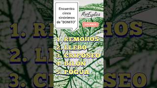 🤔 ¿Eres capaz de encontrar cinco sinónimos de quotbonitoquot lenguaespañola sinonimos juegos español [upl. by Gregoire]