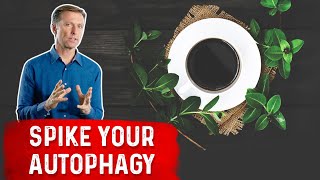 Enhance Autophagy with Coffee and Herbs [upl. by Clymer]