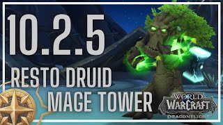 Resto Druid Mage Tower  End of the Risen Threat  1025 [upl. by Onaled]