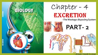 Excretion  The Wastage Disposing System 10th Biology Part2 [upl. by Ieluuk199]