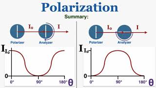 Polarization of Light and Maluss Law  IB Physics [upl. by Lunette]