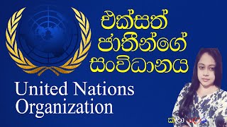 ජාත්‍යන්තර සංවිධාන  එක්සත් ජාතීන්ගේ සංවිධානය  United Nations Organization [upl. by Neahs]