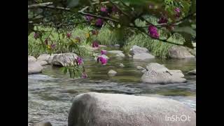 vanamagan ❤️❤️❤️ silu siluvenru poongatru song ❤️❤️ cute song [upl. by Enilrae]