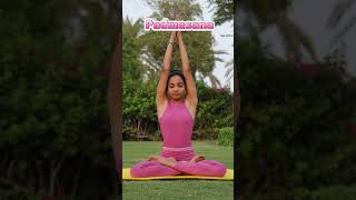 Padmasana 🌸🧘‍♀️ padmasana lotuspose innerpeace wellness [upl. by Lewes]