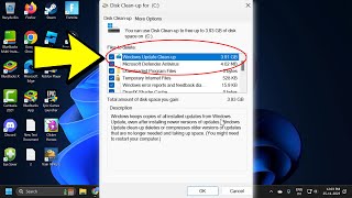 How To Delete Windows Update Files and Free Up Space in Windows 1011 [upl. by Acinomed]