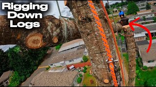 Removing Hazardous Trees Before They Fall On Homes [upl. by Karel]