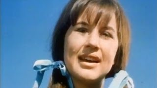 The Seekers  Turn Turn Turn HQ Stereo 196667 [upl. by Ronyar564]