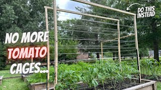 My Favorite Trellis For Any Climbing Plant  Cheap and Simple [upl. by Zetnauq]