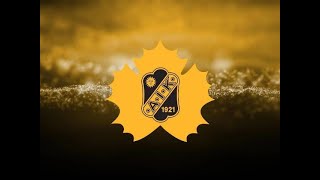 Skellefteå AIK Låtar 🖤💛🖤 [upl. by Morry591]