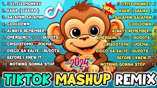 TIKTOK MASHUP NONSTOP REMIX  5 LITTLE MONKEY TRENDING TIKTOK VIRAL 2024  DJMONSOY REMIX 2024 [upl. by Attenoj]