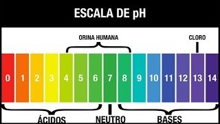 QUÉ ES EL pH Y CÓMO LO MEDIMOS INDICADORES Y pH METROS [upl. by Ennairol381]