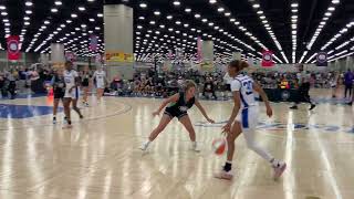 True Texas 17U S40 40 vs Michigan Mystics S40 Ruh 53 [upl. by Aneres331]