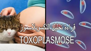 داء القطط وخطورته على المراة الحامل toxoplasmose [upl. by Balch805]