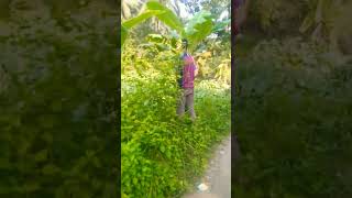 আমার কমেডি শর্ট ভিডিও [upl. by Kostival]