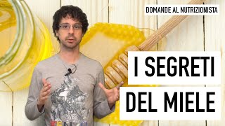 I segreti del miele e il fascino antico dellidromele [upl. by Arahahs]