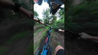 MTB Vs Dog at crazy speed 🤯 insta360onex2 traildog transitionsentinel veiotrails [upl. by Naomi593]