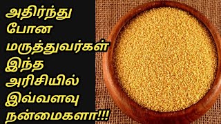 Thinai arisi benefits in tamil  thinai arisi benefits  thinai arisi  Tamil Samayal Madurai [upl. by Leeth]