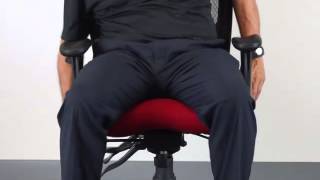 Adjust Your Ergonomic Mesh Back Office Chair [upl. by Sethi]