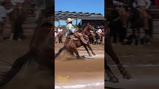 E BRAKE 📈 mexico rodeo charros cowboys charreria horse [upl. by Ferrigno]