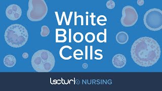 White Blood Cells The 5 WBC Types Reference Ranges amp Functions  Pathophysiology  NCLEX Prep [upl. by Areivax]